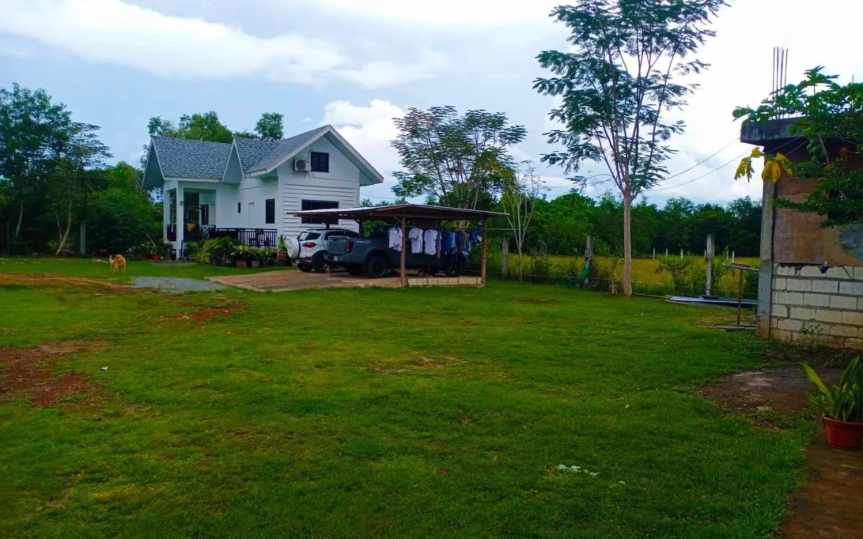 Guest house Yfs Guesthouse Panglao Philippines