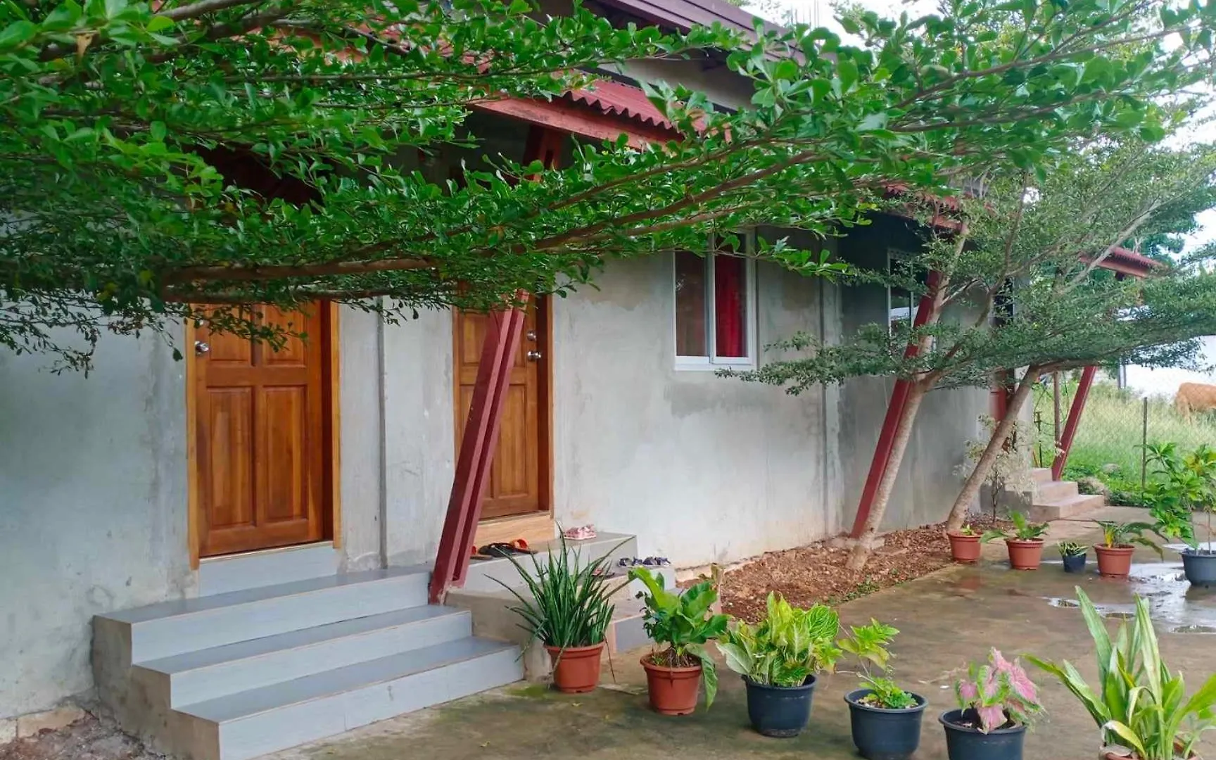 Yfs Guesthouse Panglao